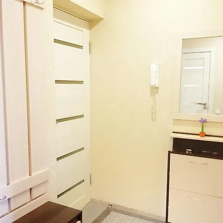 Odnokomnatnaia Kvartira Na Nemige Apartament